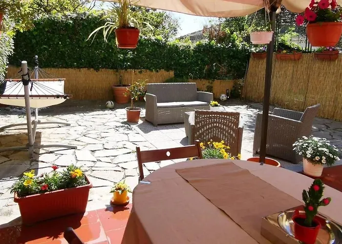 Vicky's - C. Citra 008055-lt-1257 *